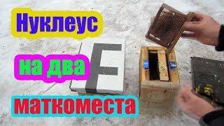 МИНИ НУКЛЕУС НА ДВА МАТКОМЕСТА И ЕГО РАЗМЕРЫ.