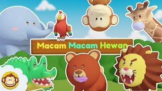 Hewan Lucu | Lagu Anak Anak | Lagu Anak Indonesia Balita #hewanlucu