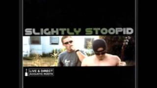 Slightly Stoopid - Officer