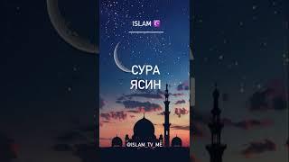 Сура «ЯСИН» исполнит все ваши желания #quran #islam #muslim #yasin #surah #allah