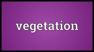 Vegetation Meaning