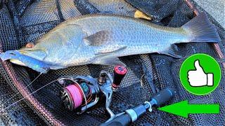 Fishing Rod Setup That Will Improve Your Casting