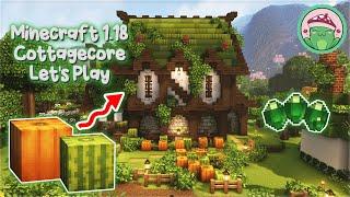 1.18 Cozy Melon and Pumpkin Farm!  Ep. 13 - Minecraft 1.18 Let's Play 