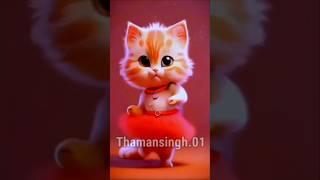 Nic cat dance# most#Imaging#songs