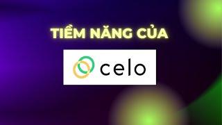 CELO - Coin Nền Tảng Sứ Mệnh Mang Crypto Trở Thành Phương Tiện Thanh Toán Trên Toàn Cầu