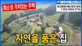 [매물번호0350] 해발 600미터위에   더이상 개발안되는 지역에 위치좋고 자연환경을 담은   넓은 대지와 주택 #제주도부동산