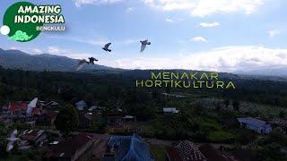 Menakar Hortikultura  | Amazing Indonesia Bengkulu