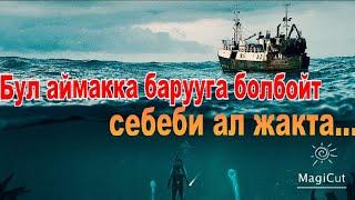 Бул аймакка барууга болбойт себеби...(Морские паразиты)#кыска #кыргызча