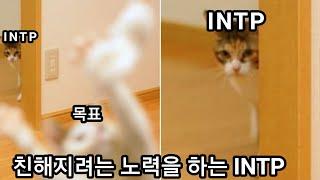 INTP 사용설명서 33.intp가 신경쓰이는 사람에게 보이는 이상행동