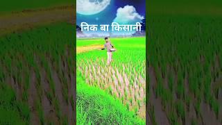 Sabse Nik batesaiya kisani //#ritesh_pandey_bhojpuri #riteshpandey #bhojpuri #ytshortsindia #viral