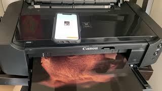 #Canon #Ip8720 13 x 19 Print Demo