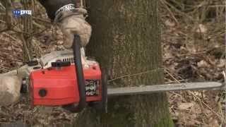 Staatsbosbeheer moet bos en grond verkopen