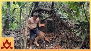 Primitive Technology: Brick hut destroyed by falling tree