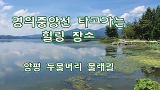 경의중앙선 전철로 가는 힐링 명소 양평 두물머리 물래길--남한강과 북한강 따라 걷기