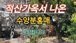 639번 #수양분홍매 {{{판매중}}} 부산 #적산가옥 에서 나온 수양분홍매 소장하세요/ 판매가격은 #더보기#란에