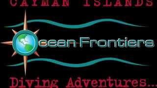 September diving - with Ocean Frontiers in the Cayman Islands