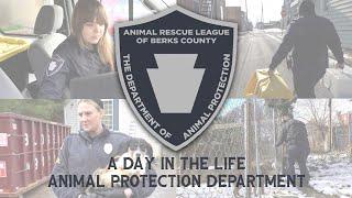 A Day in the Life - Animal Protection Department