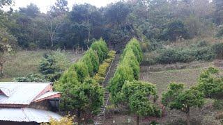 Agape Garden||Near Sadu Chiru waterfall Leimaram Manipur