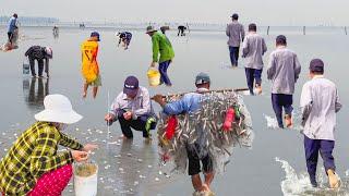 Độc Đáo Nghề Chạy Móng Tay Biển Cần Giờ Sài Gòn ║Cá Đối Đóng Kín Lưới Vác Không Nổi