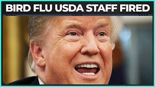 Trump Admin Panics After "Accidentally" Firing Scientists Working on Bird Flu