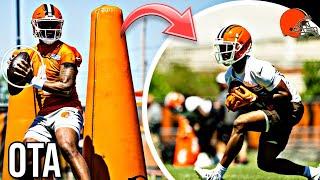 The Cleveland Browns Got MASSIVE News At OTAs...