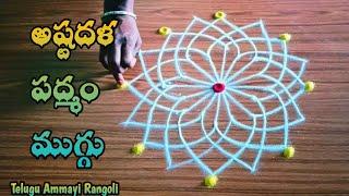 astadala padmam muggu l Friday kolam  l pooja room kolam design l muggulu @ramacreativerangoli