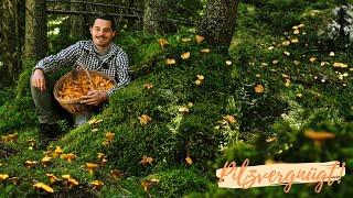 PFIFFERLINGE wie noch nie zuvor  ein Paradies für Pilz-Sammler!