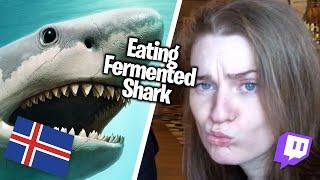 Fermented Shark first taste! Iceland Live stream highlights!