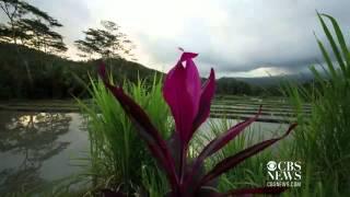 Time Lapse: Bali