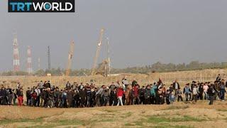 Israel-Palestine Tensions: Palestinians hold weekly protest at Gaza border