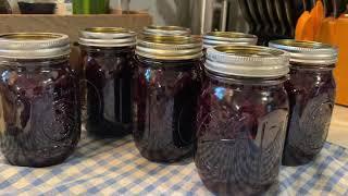 Blueberry & Lemon Syrup | Syrup with the Berries | Water Bath Canning Recipe
