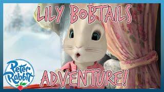 @OfficialPeterRabbit -  Lily Bobtail's Adventures!  | 20+ MINS | Cartoons for Kids