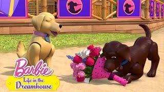 Festa dos Cachorros  | Barbie Life In The Dreamhouse | Desenho da Barbie Em Português