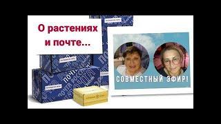 🪴Оазис миссис Смит🪴 и Зеленая жизнь о растениях и почте России...