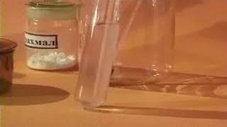 Experiments in chemistry. Preparation of colloidal starch solution