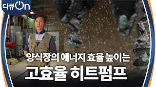 양식장의 에너지 효율 높이는 수열원 고효율 히트펌프 [다큐ON-Docu ON] | KBS 241221 방송