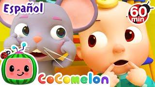 CoComelon en Español | Cabeza, hombros, rodillas y pies | Compilación de Canciones Infantiles