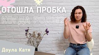 Отошла пробка... Когда начнутся роды?