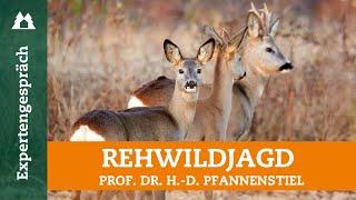 Rehwild: vom Hirsch des kleinen Mannes zum Waldschädling | Weidgerecht | Jagddruck | Wildschaden