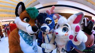 Midwest FurFest 2024 - Random Clips