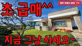 【 초 특가 ^^급 처분  】 ^^  270평 토지값도 안나오는 한라산 경관 좋은 주택 ^^