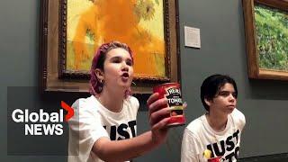 "Art or life?" Climate protesters douse Vincent van Gogh painting with tomato soup