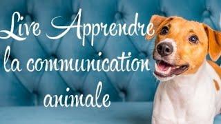 Live Apprendre la communication animale