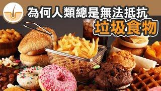 為何人類對垃圾食物總是無法抵抗？甚麼才是垃圾食物？ (繁體中文字幕)