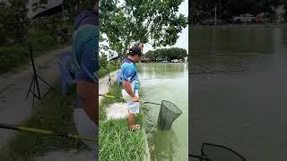 Trấn Nam báo cá khủng chưa anh em | cancaukr.vn