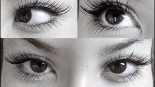 𓈒ㅤׂ  𝜗𝜚  EXPERIMENTAL 𝓥irtual canthoplasty ◞ 𓏵  slanted feline eyes  ࣪˖   ་༘࿐