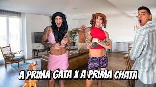 A PRIMA CHATA X A PRIMA GATA