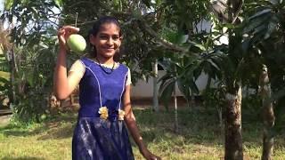 Chap-19–Complement (Subject Complement and Object Complement)—English Grammar—Vavachu Learning Class