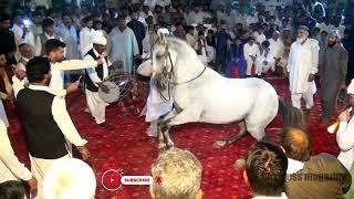 Horse Dance With Dhol In Pakistan 2023 - Lovely Ghora Dance