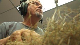 Holey Foley | Sound Design at Earth Touch